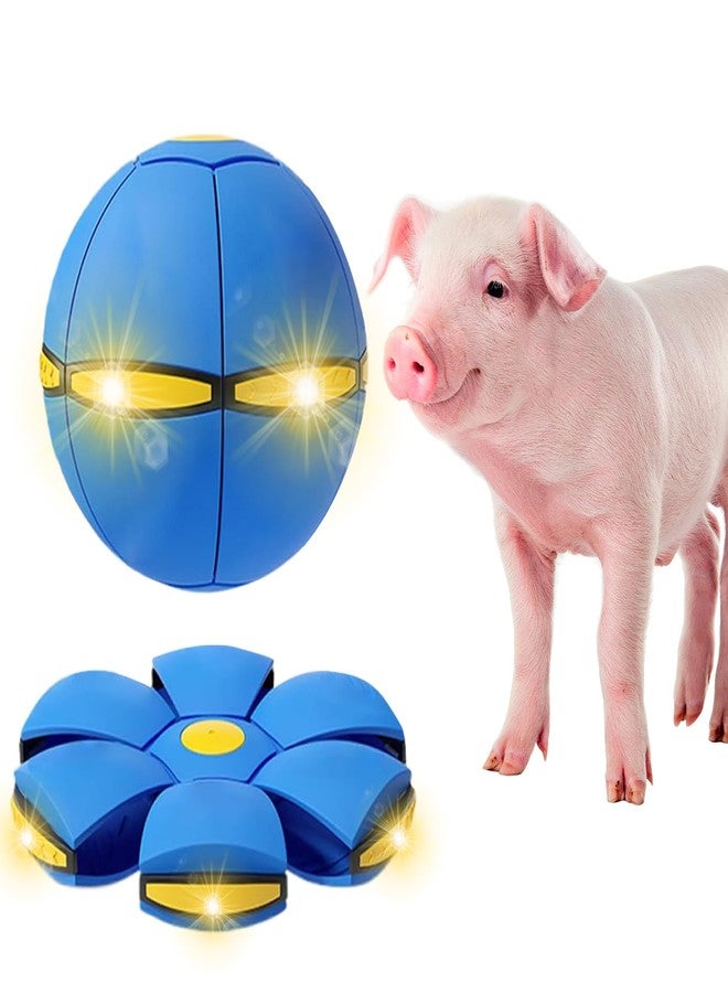 OOXYG Pig Toy - Toy for Pigs, Interactive Pig Flying Saucer Disc Ball Toys with 6 Lights for Mini Pigs, Enrichment Play for Pet Pigs Supplies Enjoyment and Fun - Image 3